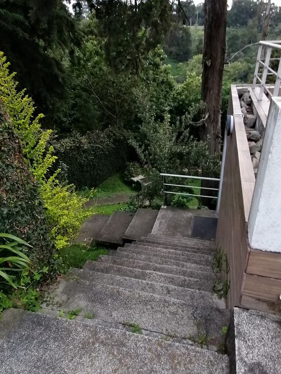 Fotografía 6