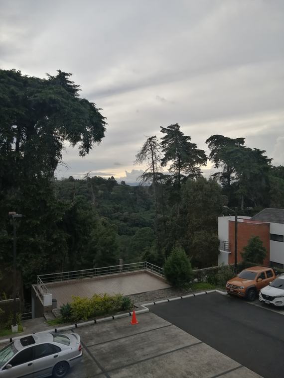 Fotografía 15